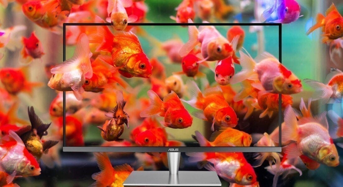 ASUS ProArt PA32UC-K 32 inç Monitör – Gerçekten büyüleyici tonlar için yüksek renk doygunluğu