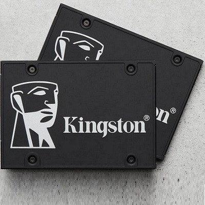 Kingston 256GB SSD – Tam Güvenlik Seti Desteği