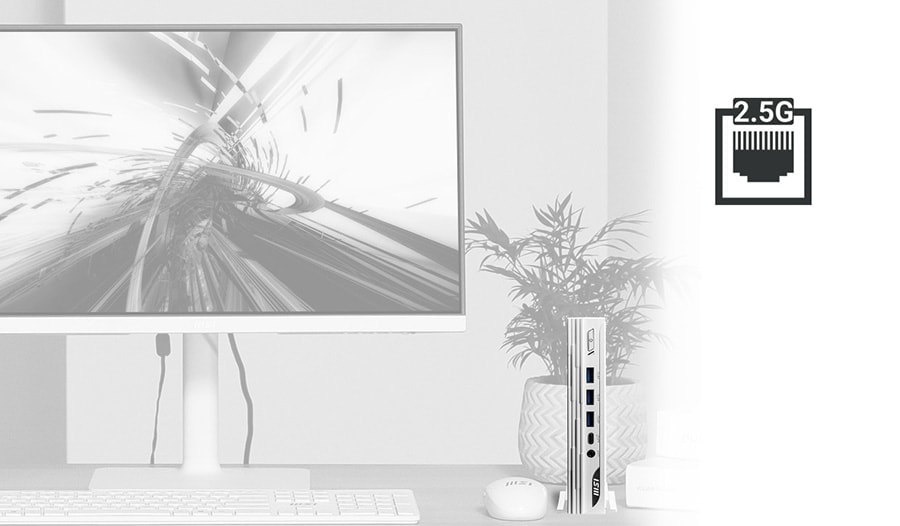 MSI PRO DP10 13M-001EU Masaüstü Bilgisayar a10