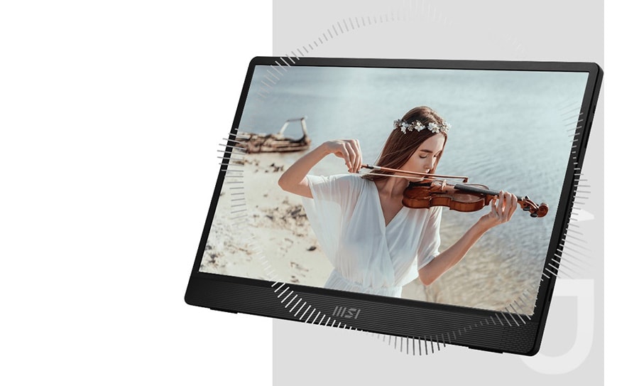MSI Pro MP161 Monitör a20