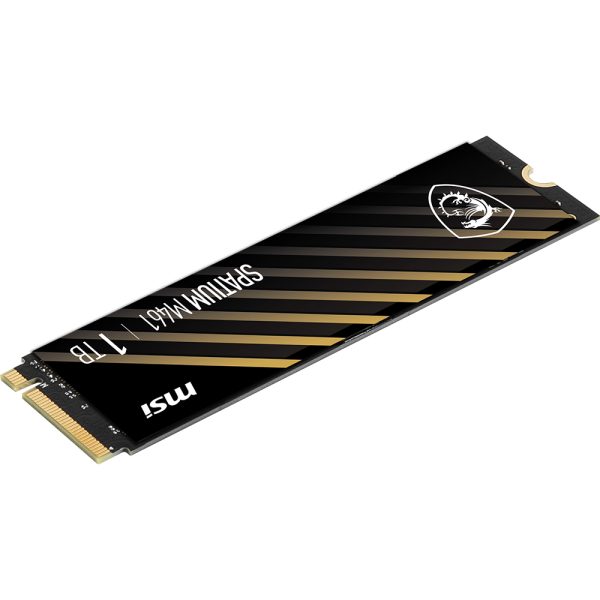 Msi Spatium M461 1tb Nvme Okuma 3500 Yazma W5000 M 2 Ssd 5