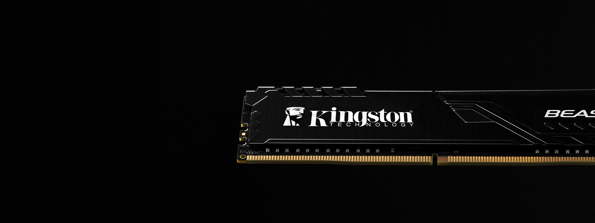 Kingston Beast Black 32GB Ram hh1