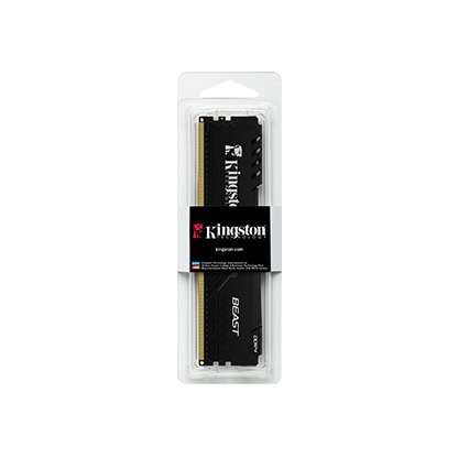 Kingston Beast Black 32GB Ram hh3