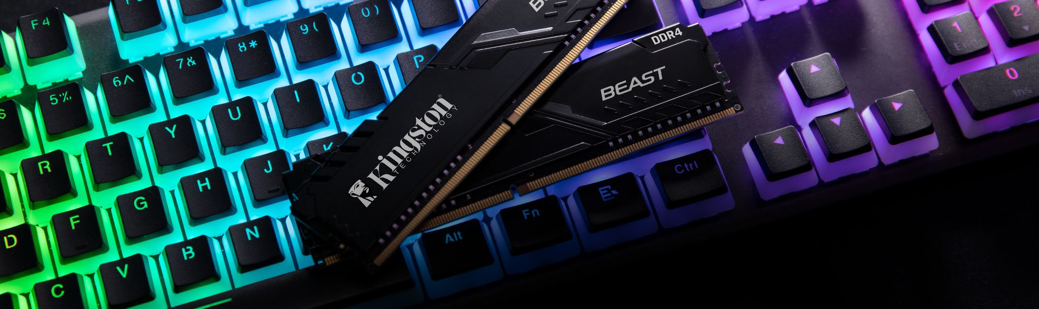 Kingston Beast Black 32GB Ram hh6