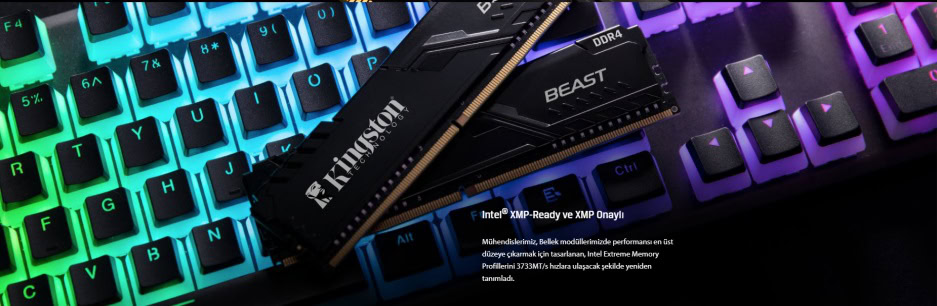 Kingston Beast Black 8GB Ram h5