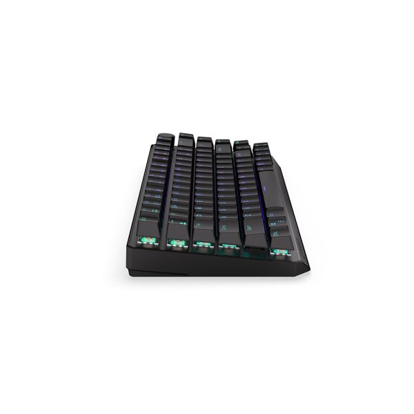 Endorfy Thock U Wireless Kailh Blue Switch Rgb Ingilizce Kablosuz Hotswap Mekanik Gaming Klavye Ey5a074 6