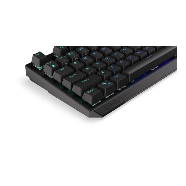 Endorfy Thock Wireless Kailh Red Switch Rgb Ingilizce Kablosuz Hotswap Mekanik Gaming Klavye Ey5a079 11