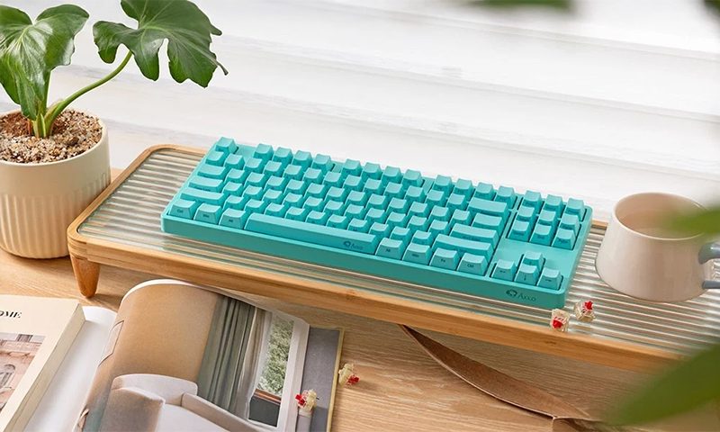 5087S-SP QMK Mint TKL V3