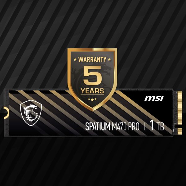 MSI SPATIUM M470 PRO 1TB M.2 SSD H9