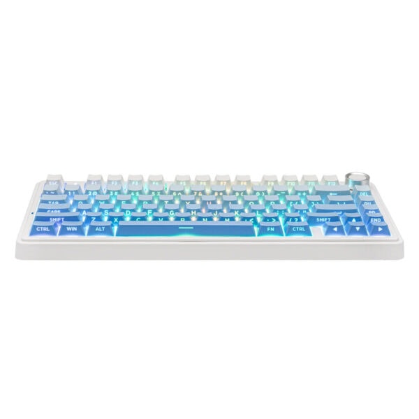 Epomaker X Aula F75 Mavi Leobog Reaper Switch Rgb Kablosuz Hotswap Mekanik Gaming Klavye 2