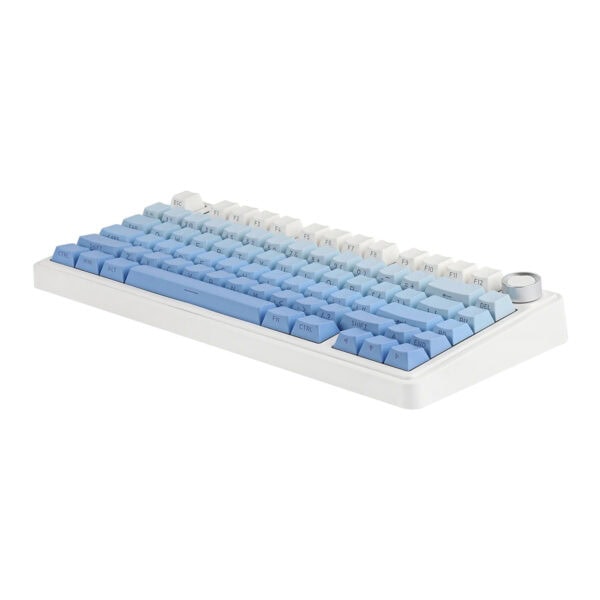 Epomaker X Aula F75 Mavi Leobog Reaper Switch Rgb Kablosuz Hotswap Mekanik Gaming Klavye 5