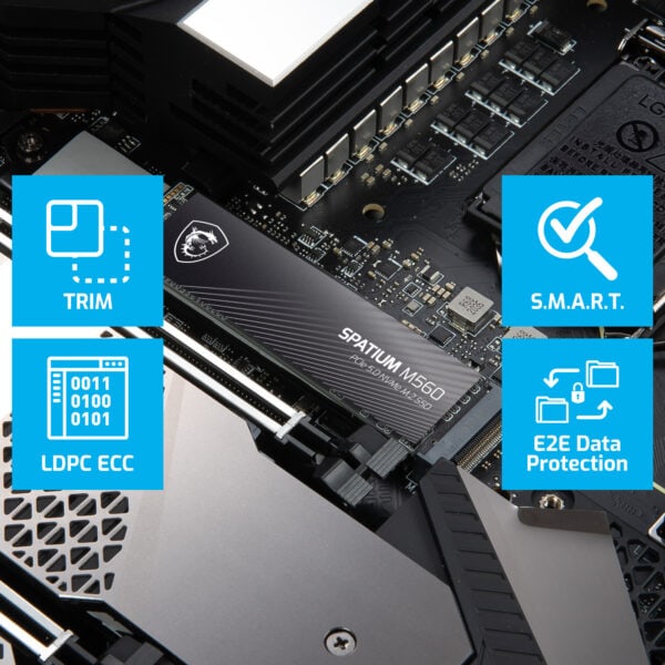 MSI SPATIUM M560 1TB M.2 SSD H4