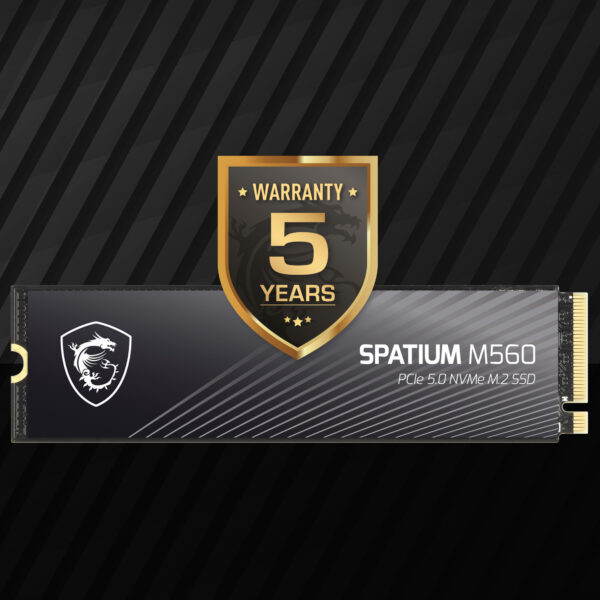 MSI SPATIUM M560 2TB M.2 SSD H9