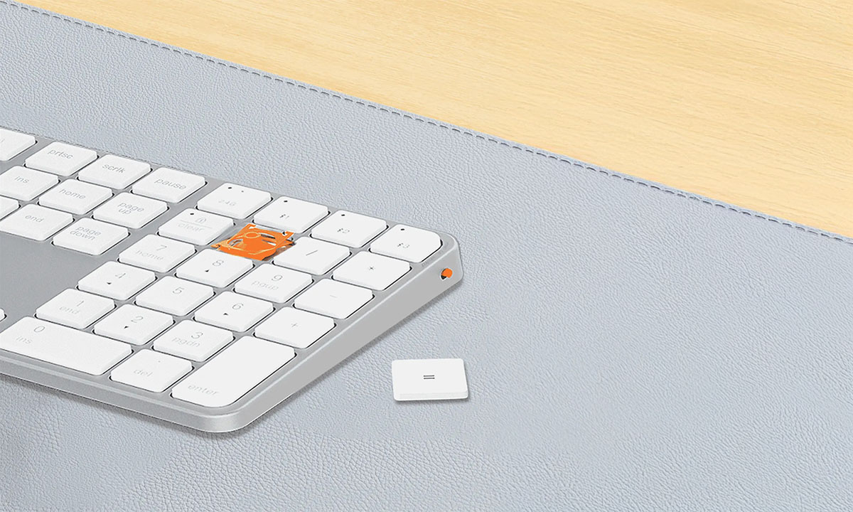 Scissor Switch Yapısı: Yumuşak ve Sessiz Tuş Vuruşları