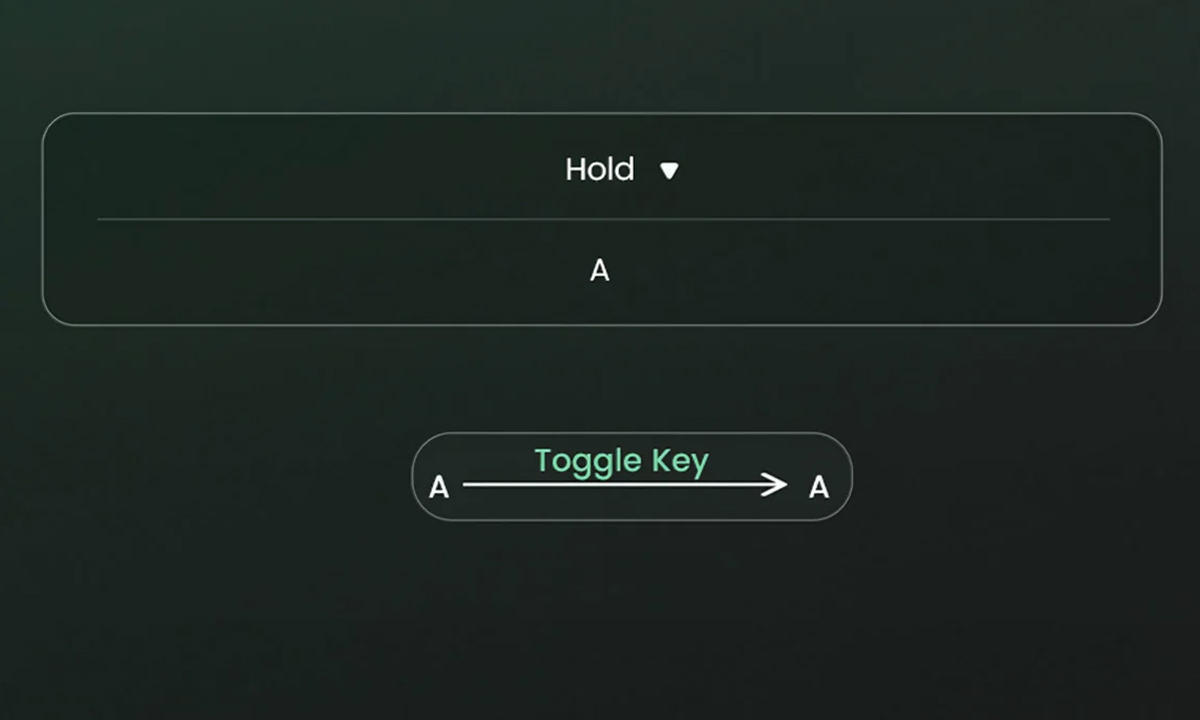 Toggle Key (TGL)