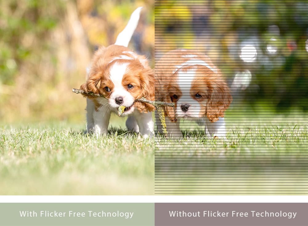 VY249HF-W ASUS VY249HF-W Monitör h10