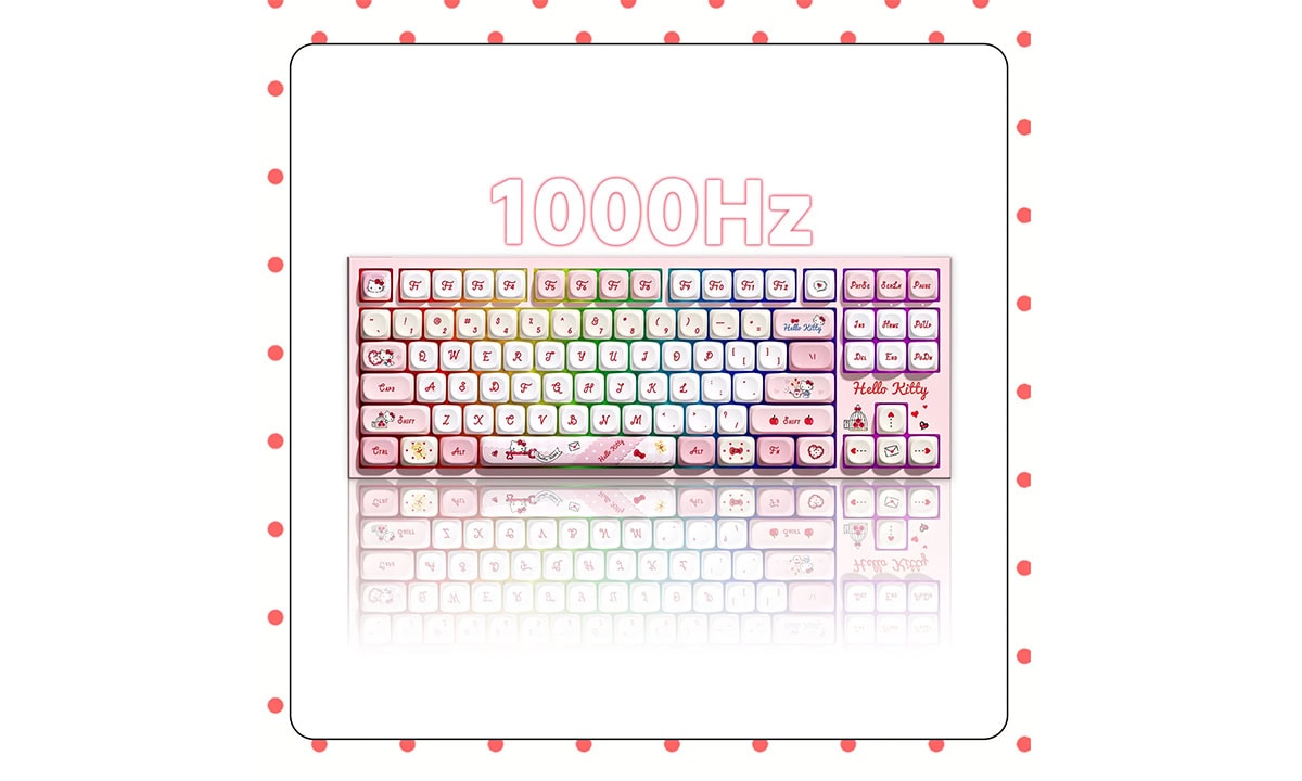 1.000 Hz sorgulama hızı